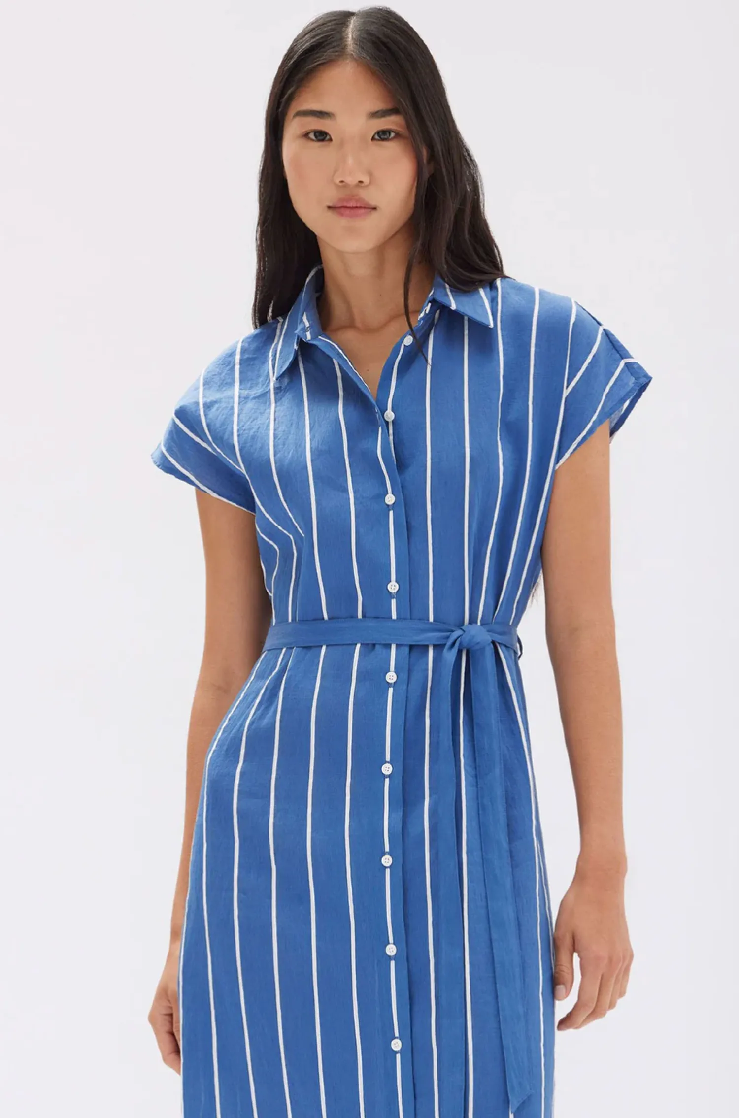 Women Assembly Label Ayla Stripe Shirt Dress - Royal/White