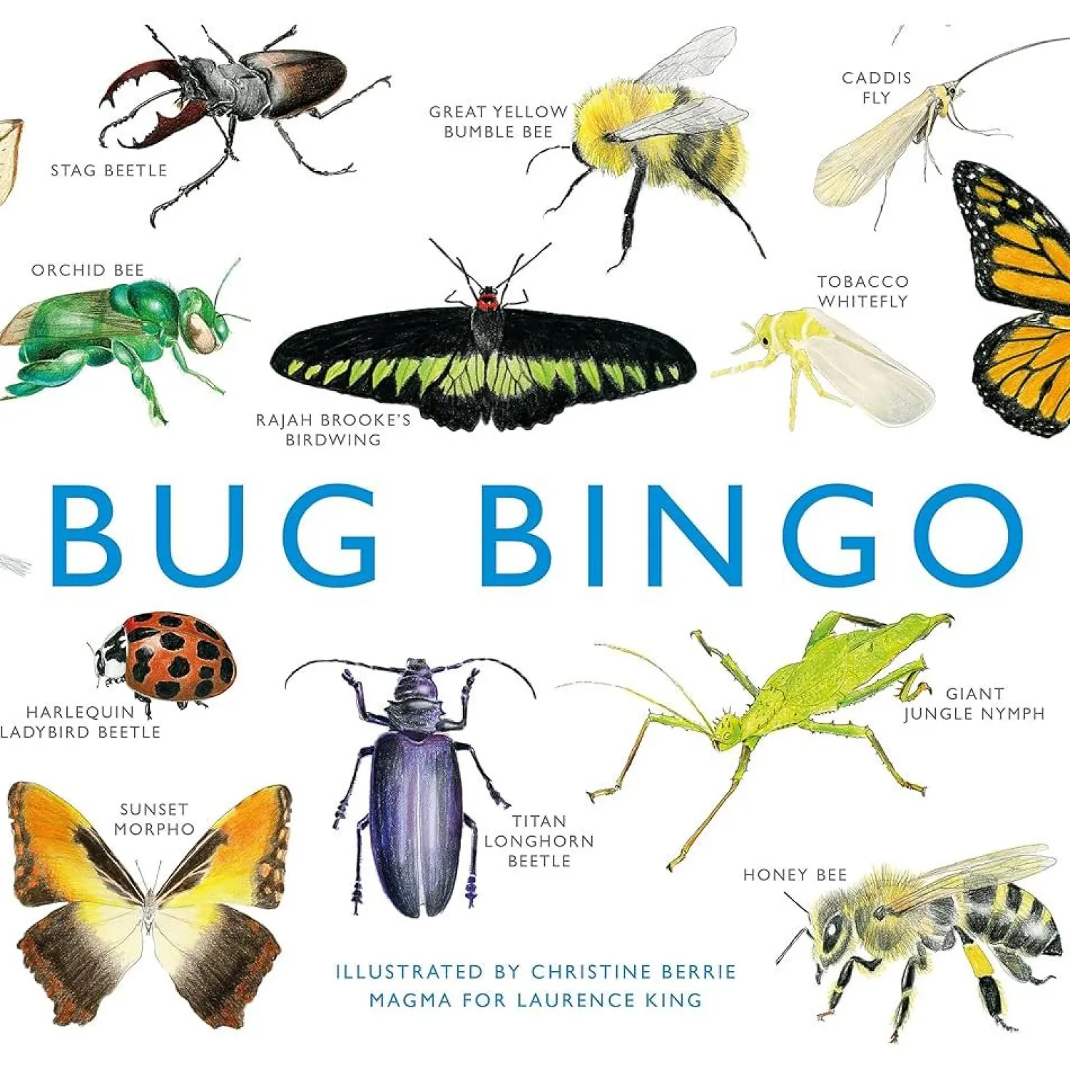 Brumby Bug Bingo