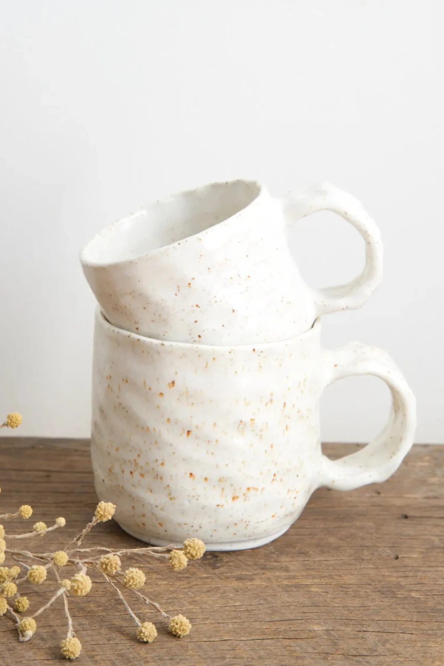 Mudhavi Dinosaur Mug Speckled