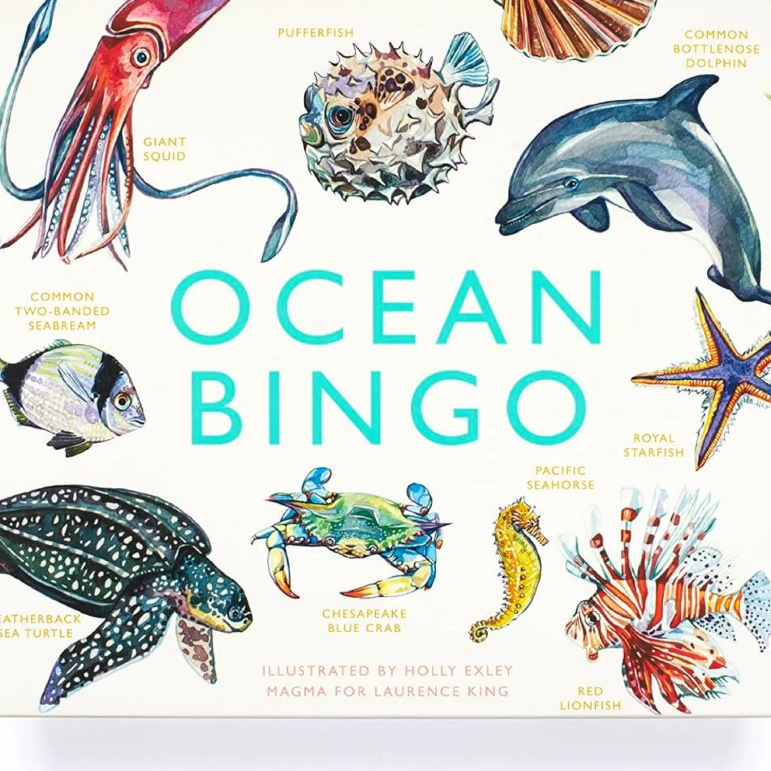 Brumby Ocean Bingo