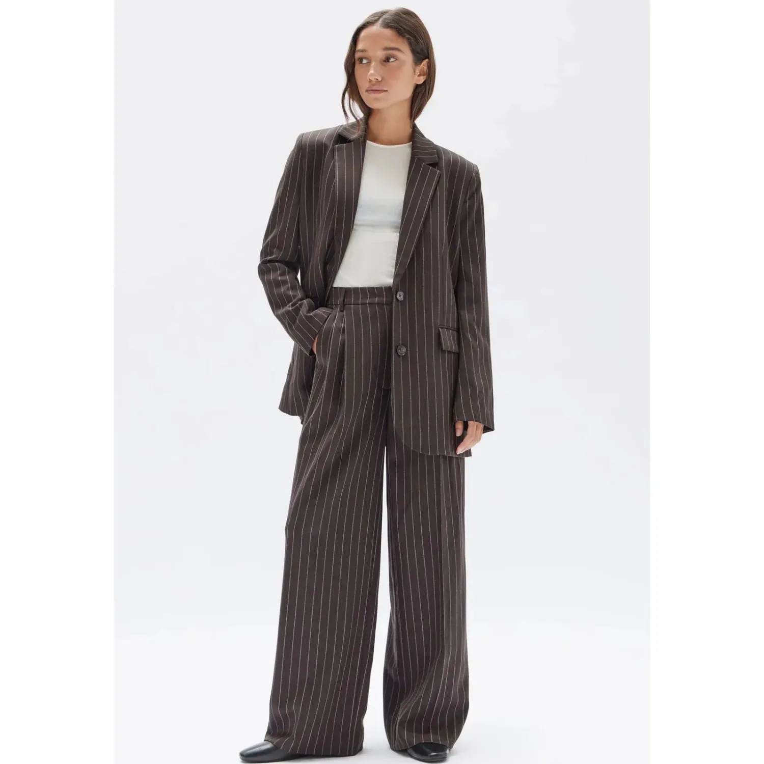 Women Assembly Label Sofia Wool Pinstripe Pant - Chestnut Stripe